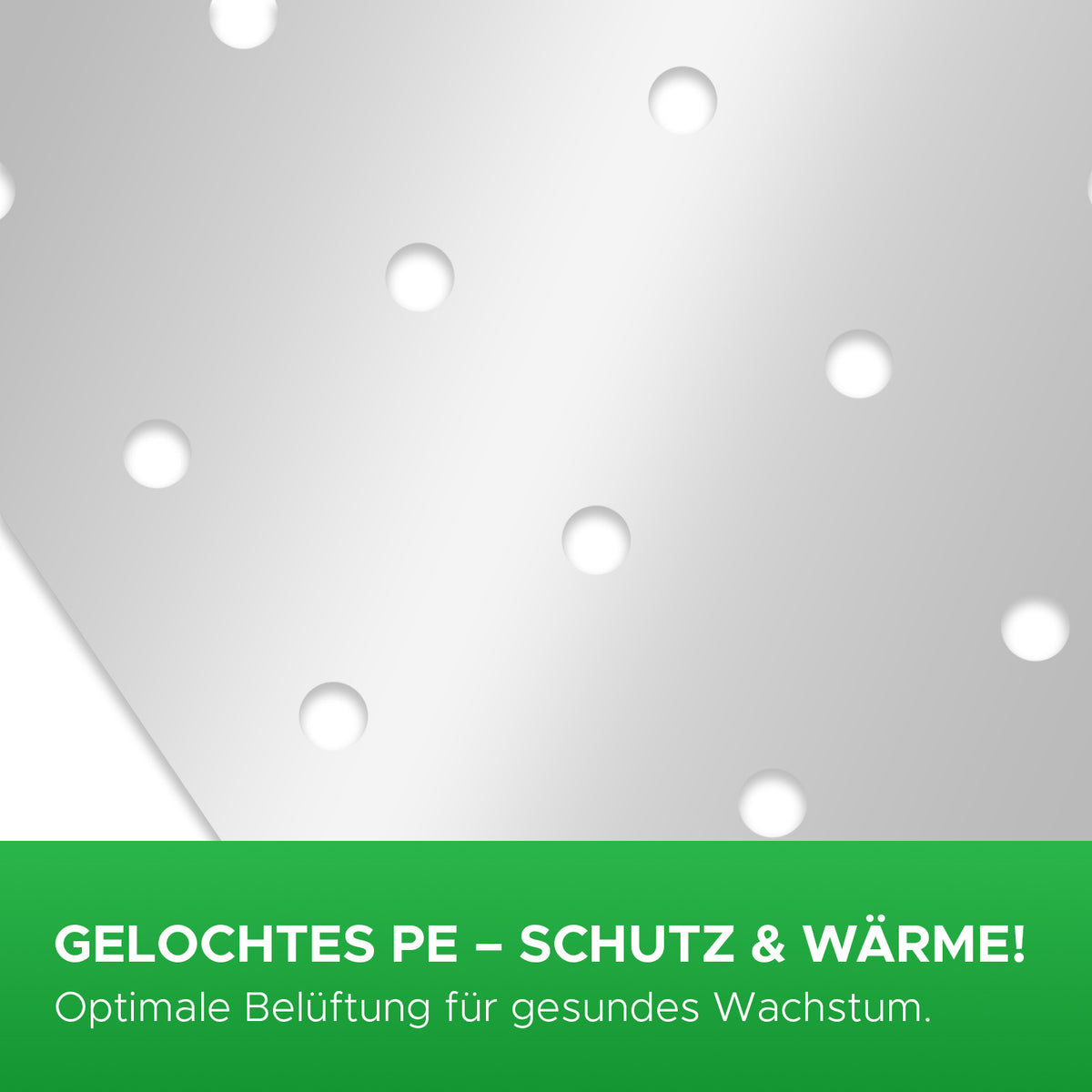 Frühbeet-Folie VIVA Info Löcher Mattenlager