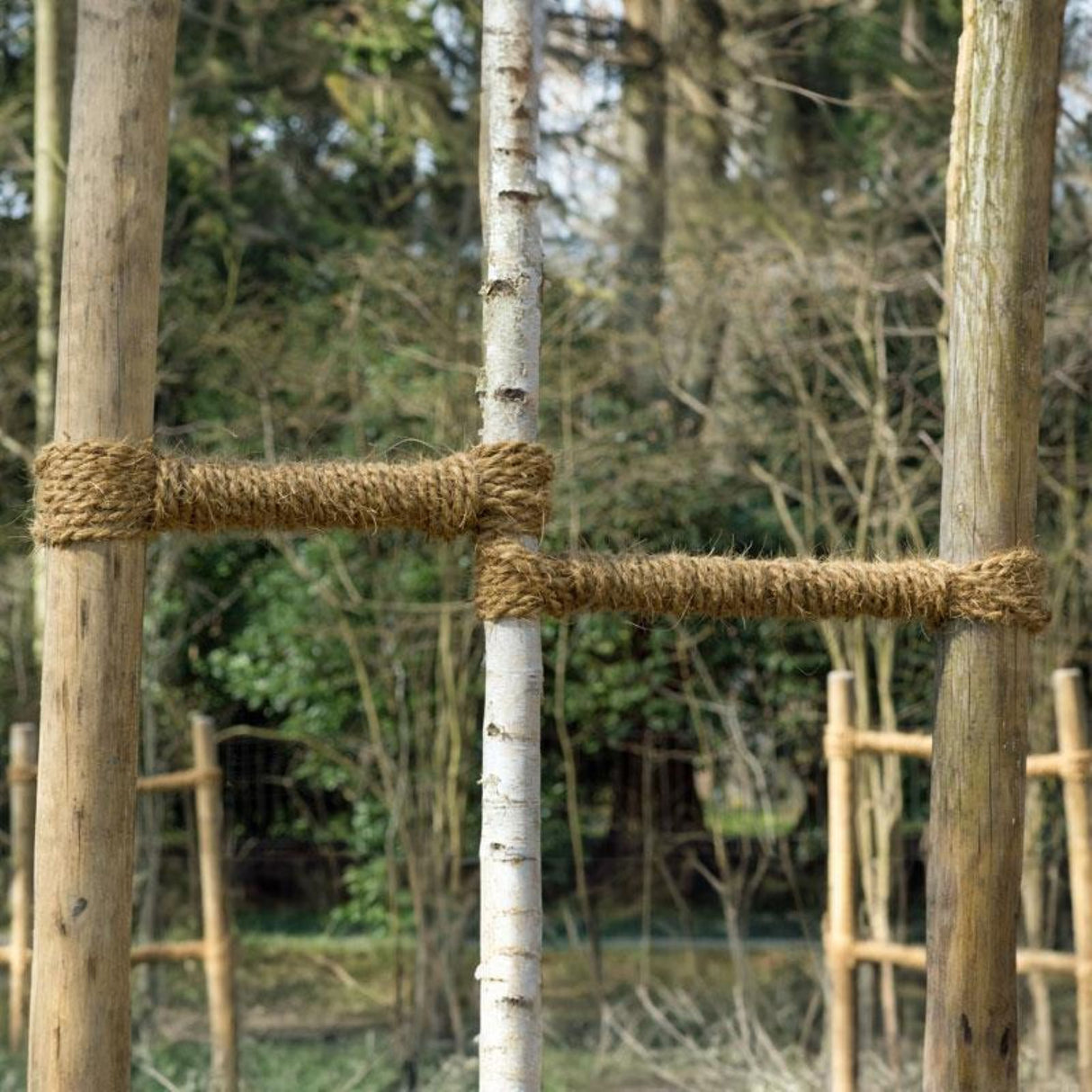 Baumanbinder PROFI Anwendung Bäume Mattenlager | Info