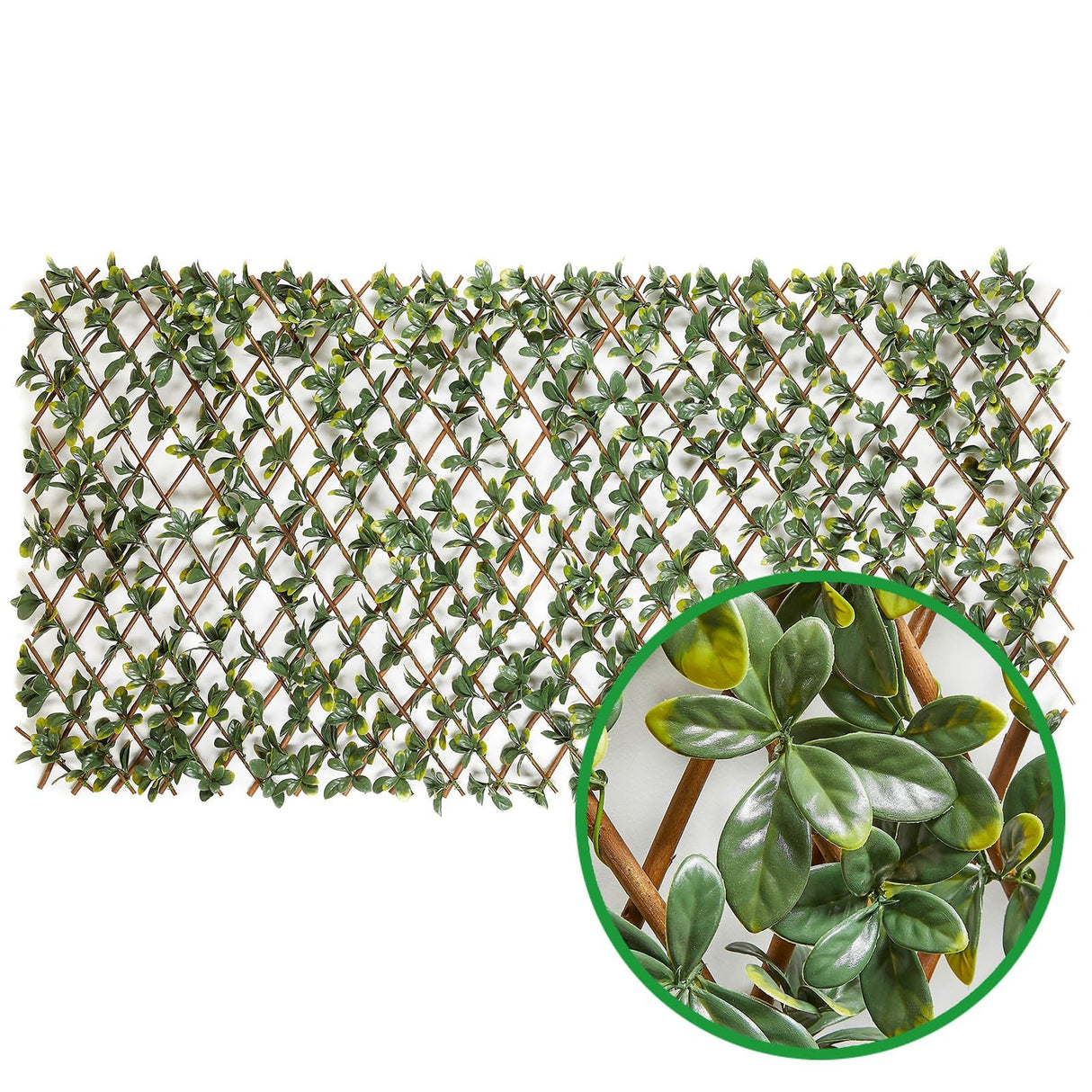 Dekozaun LEAF ME ALONE - Bayberry - Der natürliche Sichtschutz