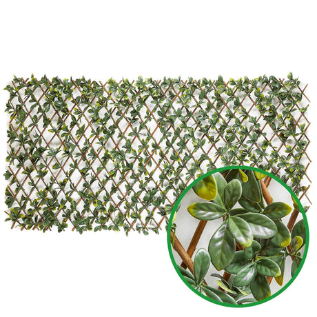 Dekozaun LEAF ME ALONE - Bayberry - Der natürliche Sichtschutz