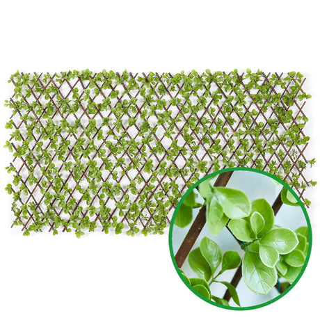 Dekozaun LEAF ME ALONE - Jade - Der natürliche Sichtschutz