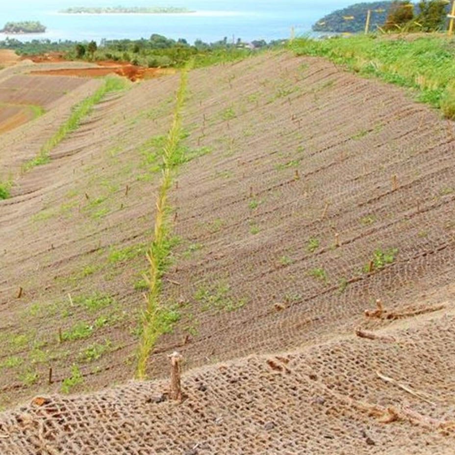 Erosionsschutzmatte PLANTA - Nachhaltiger Erosionsschutz aus Kokos