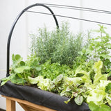 Hochbeet BAETA - Hochbeet-Set inklusive Haube