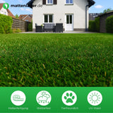 Kunstrasen BLADE in Anwendung