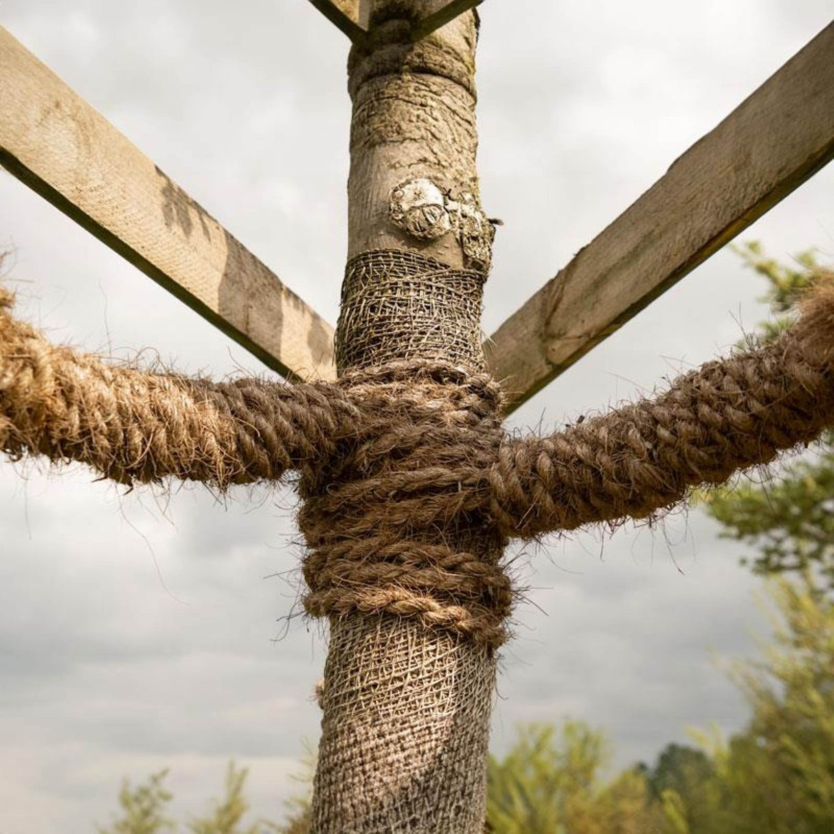 Baumanbinder PROFI Anwendung Mattenlager | Info