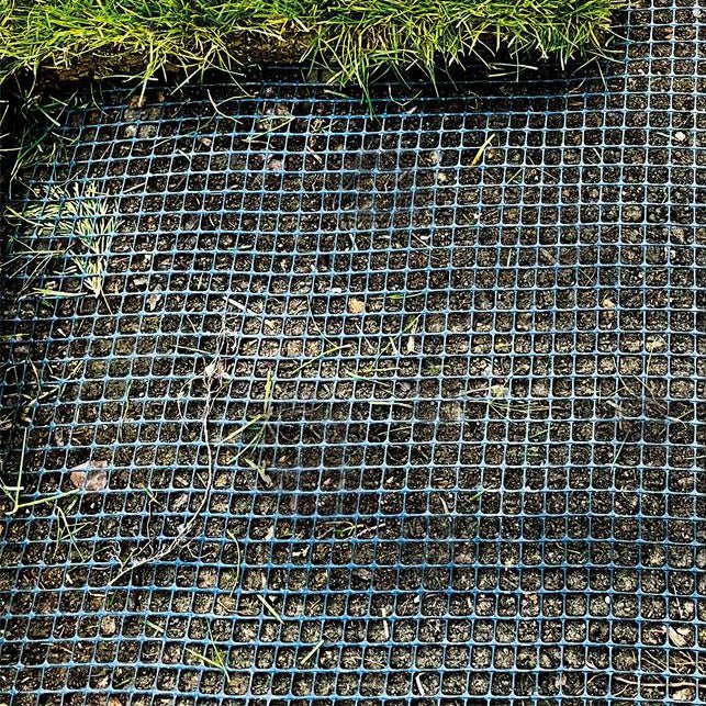 Maulwurfblocker MOLEX - Garantierter Schutz vor Maulwurfsschäden