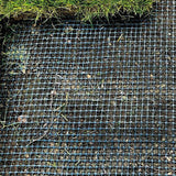 Maulwurfblocker MOLEX - Garantierter Schutz vor Maulwurfsschäden