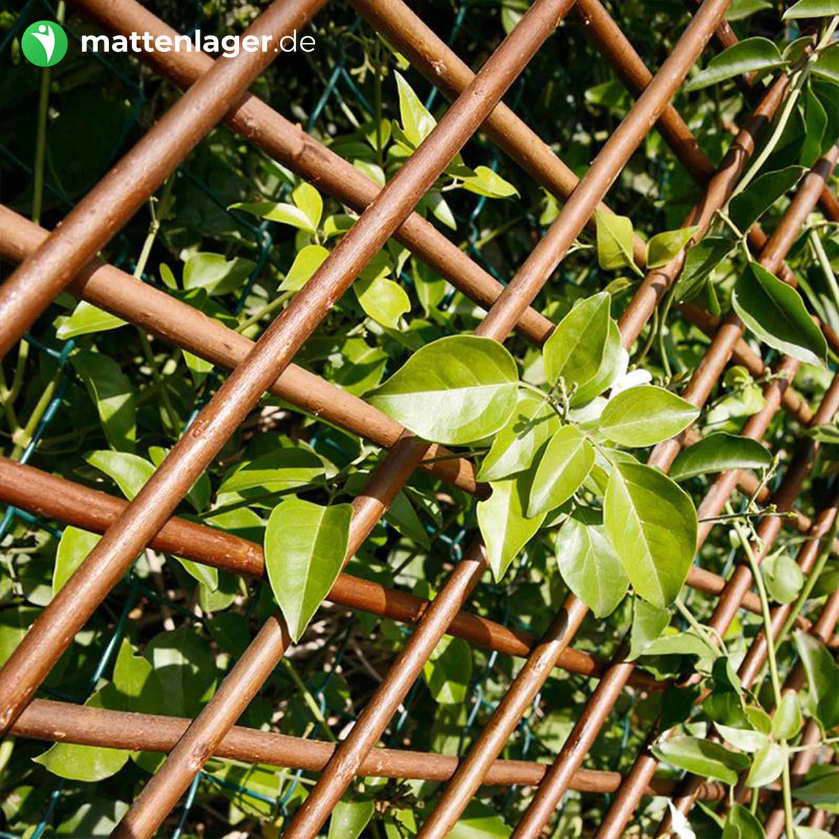 Holz Rankgitter LUMRA Weide Gesamtansicht | Ohne Laub