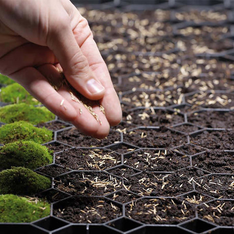 Rasengitter KEPPI Anwendung Rasen