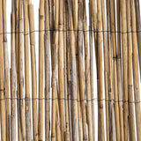 Schilf-Sichtschutz ROSEAU - Blickschutz mit Nylongarn