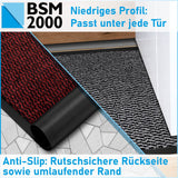 STAR - Die richtige Fußmatte für Ihre Haustür | Braun