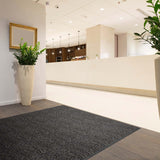 Schmutzfangmatte VARIA Anwendung | Graphitgold