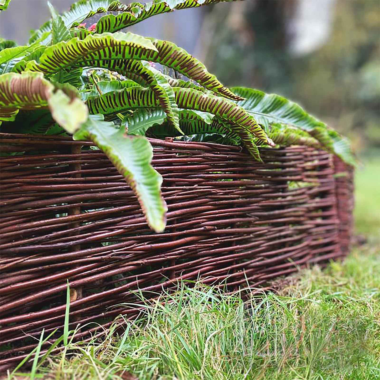 Weidensteckzaun NATURA Anwendung Mattenlager