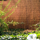 Weidenmatte CAPREA - Sichtschutz aus Weidenzweigen