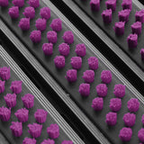 Eingangsmatte ALUFLOW mit Bürsten-Einsatz | Lila