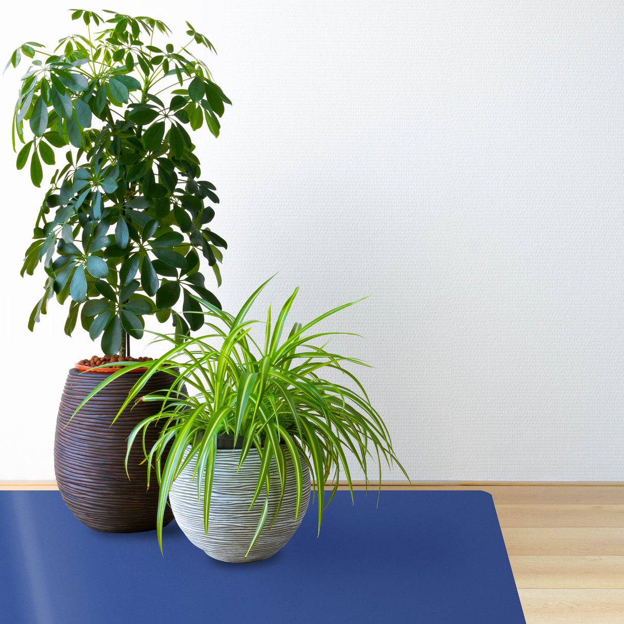 house plant floor protector Grey floor protection mat for parquet, laminate & tiles – Mattenlager