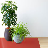 Bodenschutzmatte farbig - Unterlage für Pflanzen | Rot